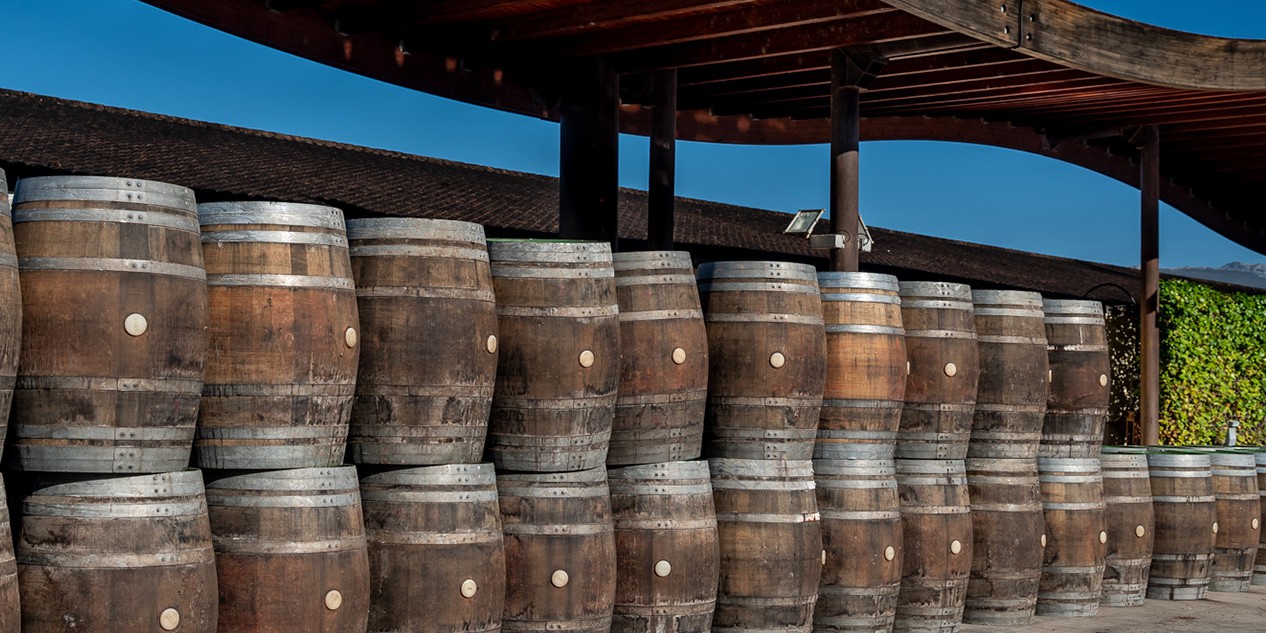 Winery Marqués de Riscal